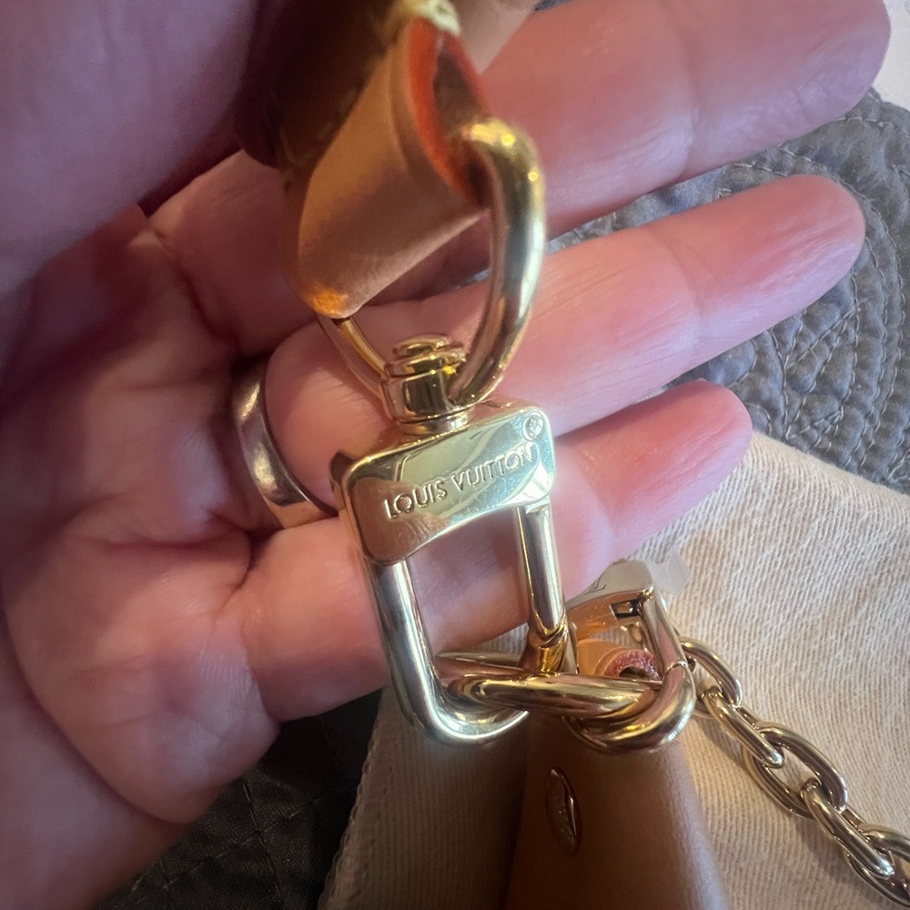 Louis Vuitton Loop bag with chain and adjustable leather strap - Picture 10 of 16